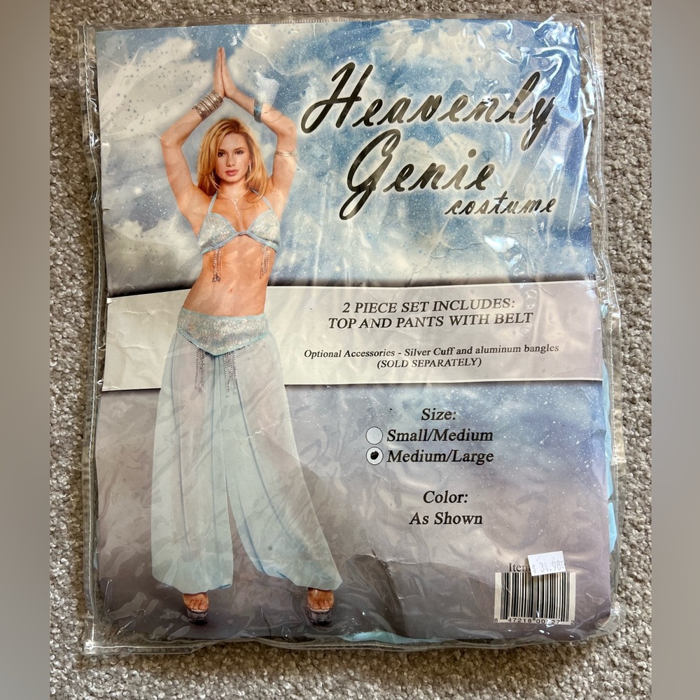 Heavenly Genie Costume